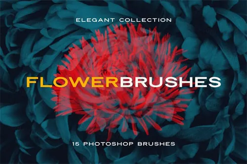 复古风创意玫瑰紫丁香花卉笔刷PS画笔素材 Elegant Flower