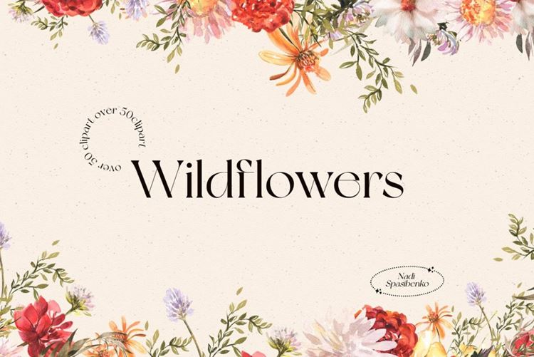 水彩手绘秋夏野花树枝牡丹花卉装饰元素PNG剪贴画素材 Wat