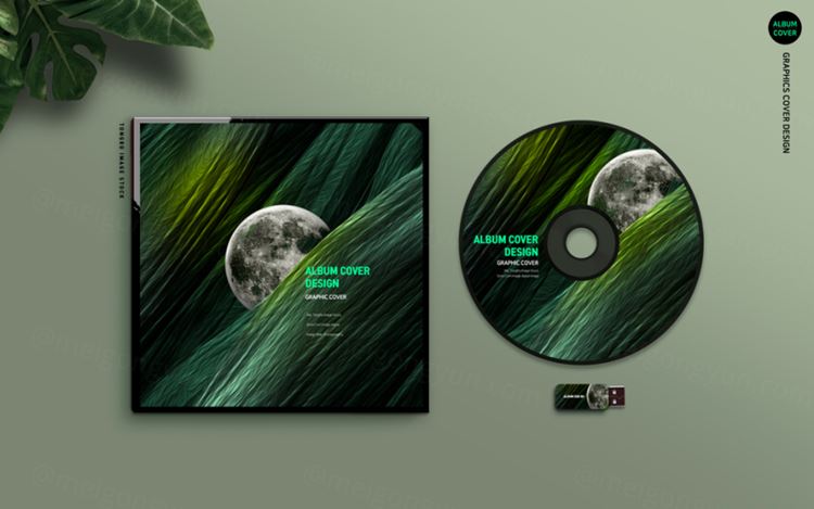 光盘光碟黑胶唱片品牌VI提案样机12