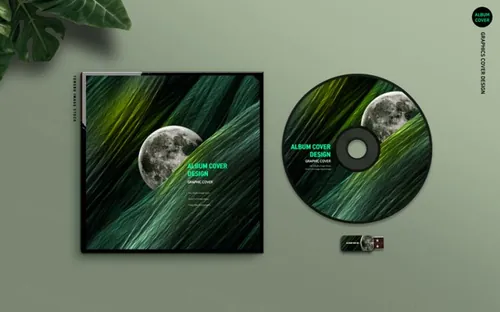 光盘光碟黑胶唱片品牌VI提案样机12