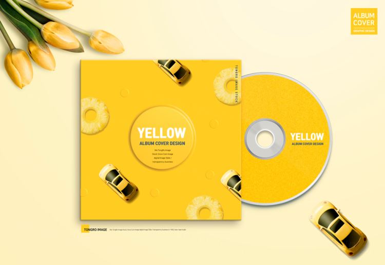 光盘光碟黑胶唱片品牌VI提案样机2