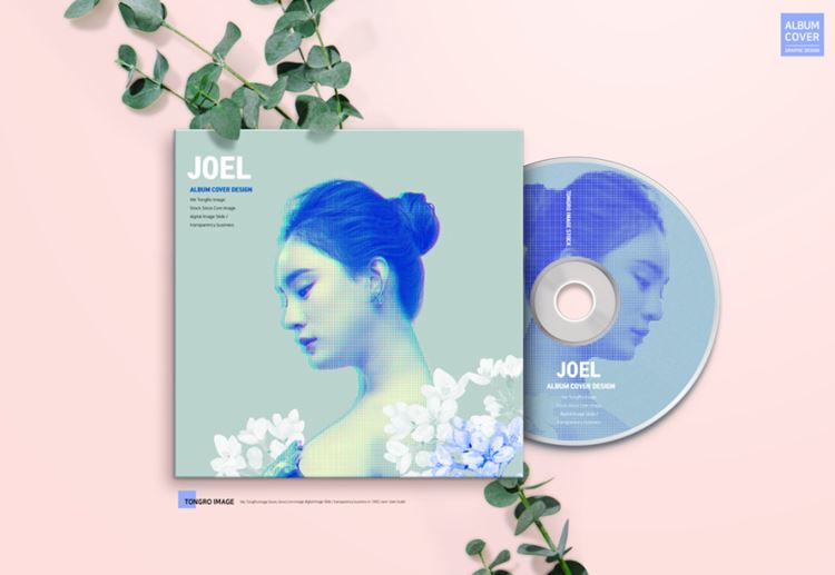 光盘光碟黑胶唱片品牌VI提案样机5