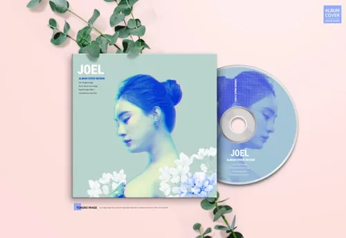 光盘光碟黑胶唱片品牌VI提案样机5