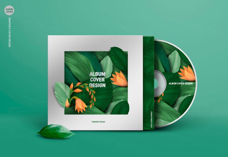 光盘光碟黑胶唱片品牌VI提案样机9