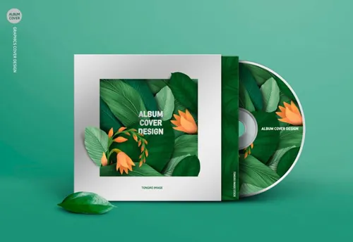 光盘光碟黑胶唱片品牌VI提案样机9