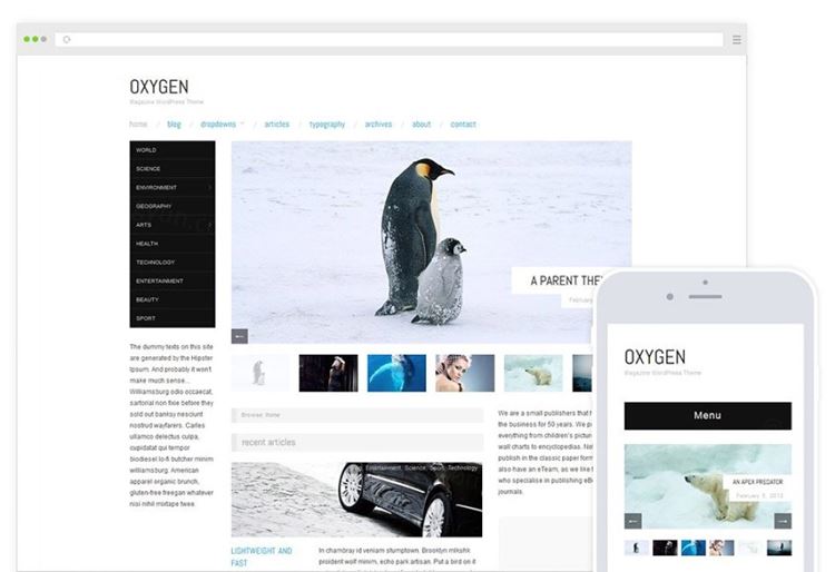 专业干净的“优设”原身博客主题WP模板 Oxygen / M
