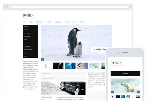 专业干净的“优设”原身博客主题WP模板 Oxygen / M
