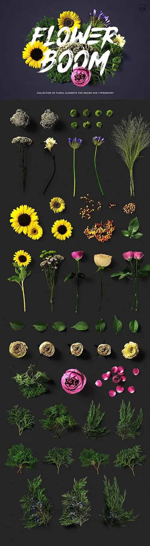 节日气氛50多款鲜花植物元素场景搭建免抠png