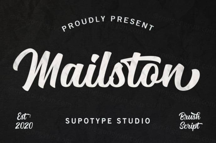适合做LOGO和标题的现代手写英文字体 Mailston Script