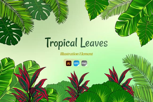 手绘热带树叶棕榈树夏季丛林植物矢量插图素材 Hand Dra