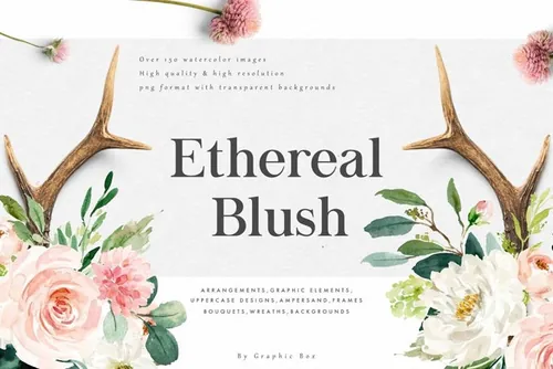 水彩+字母+花卉的设计素材 Ethereal Blush-F