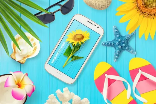 Summer夏日元素贝壳海星椰子分层PSD