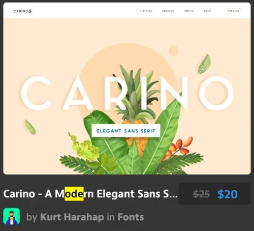 字体的现代优雅无衬线系列 Elegant Sans Serif Fam