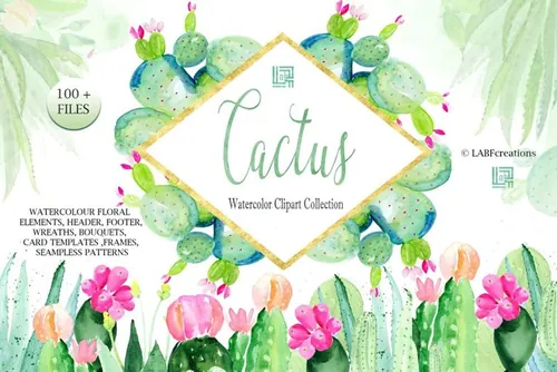 手绘水彩植物仙人掌芦荟插图素材 Cactus-waterco