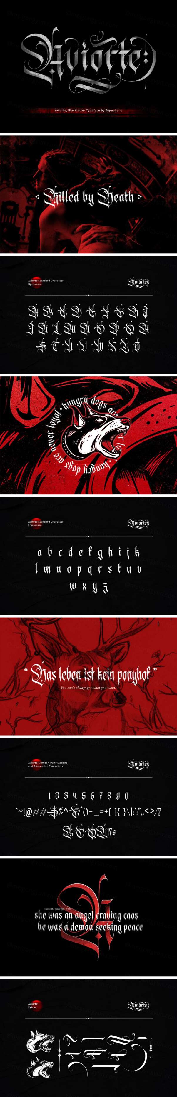 17世纪哥特风格英文字体 Aviorte Blackletter Font