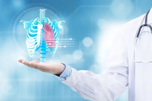 科技感先进的医疗科技全息人体肺部结构图片