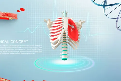 清晰形象的双肺状态胸腔解剖合成背景源文件