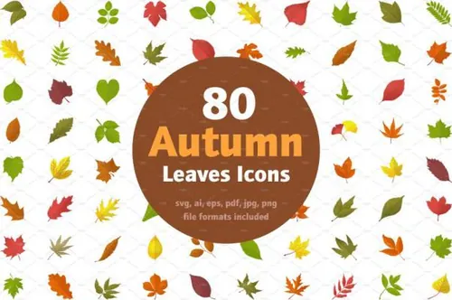 秋季枫叶矢量图标素材 80 Autumn Leaves Icons