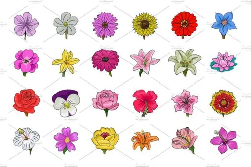 手绘花卉素材图标大全 Floral Hand Drawn Colore