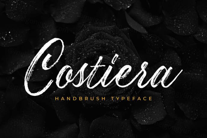 毛笔笔刷英文字体 Costiera - Elegant Handbrush