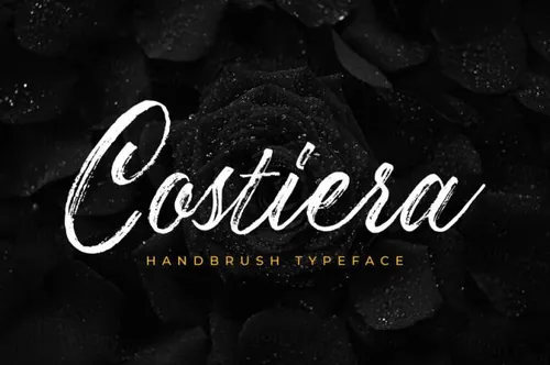 毛笔笔刷英文字体 Costiera - Elegant Handbrush