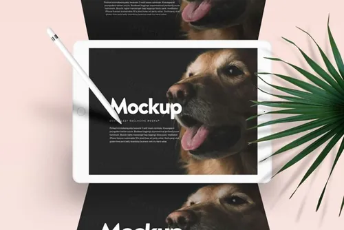 iPad模型PSD贴图模板Doglr — iPad Mockup Scene PSD