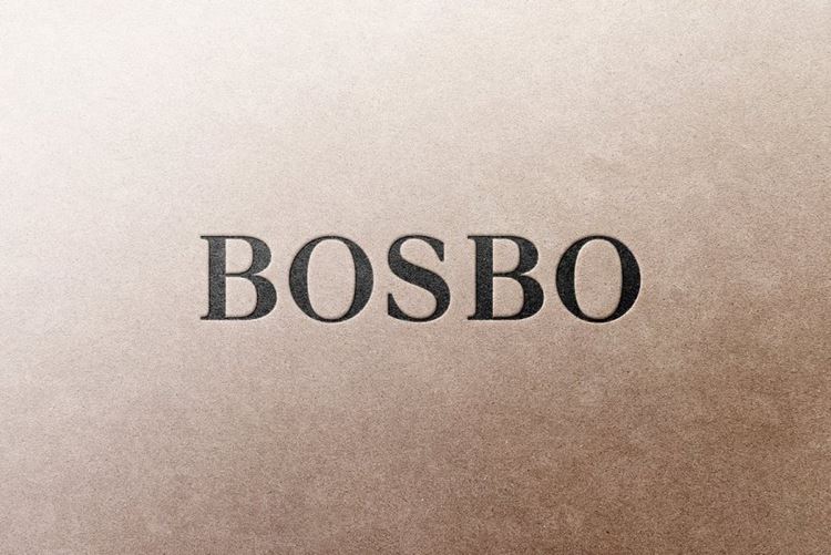 高品质UV压印烫金烫银工艺LOGO设计提案样机模板 Logo