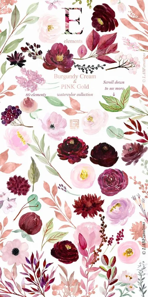 勃艮第手绘水彩花卉植物设计素材 Burgundy-cream