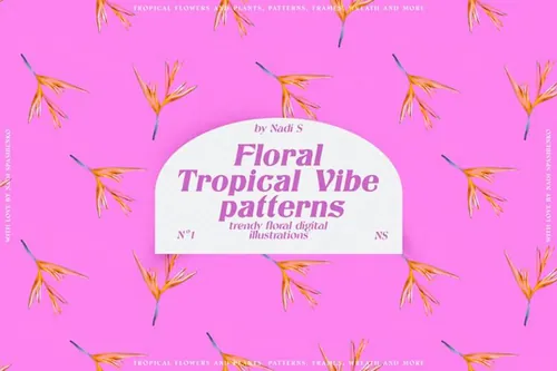 热带夏威夷芙蓉兰花鹤望兰天堂鸟芙蓉花朵图案素材 Floral