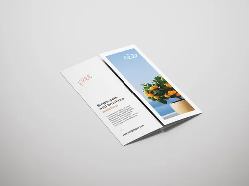3折页宣传手册小册子设计贴图样机PSD模板 Single gate fold brochure mockup