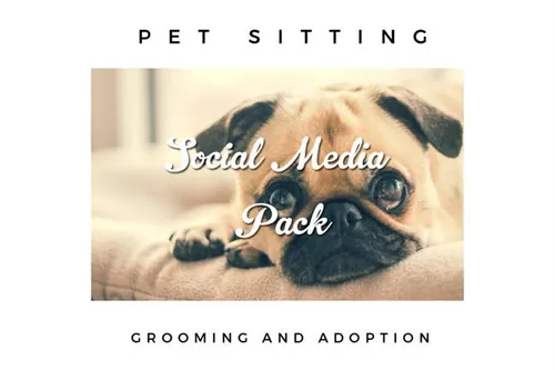时尚高逼格的宠物社交媒体图片展示模板下载 Pet Lovers Social Media Pack