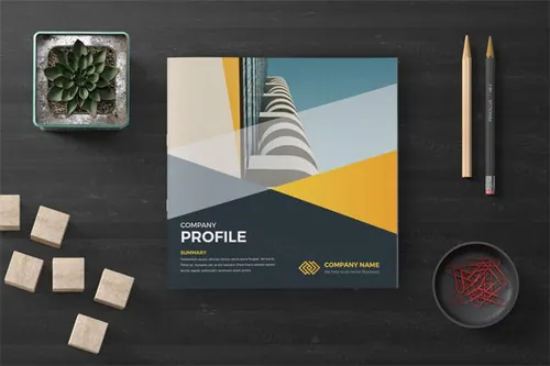 专业极简的公司简介画册模板 Company Profile Square