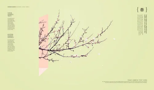 极简风春季桃花节樱花海报PSD模板素材