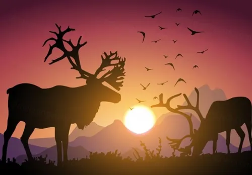 驯鹿日落矢量剪影插图Caribou Sunset Free Vector.zip