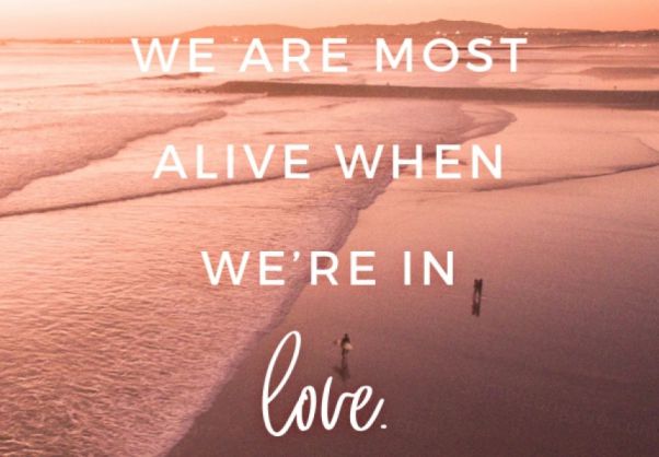 暖色调时尚温馨手机端APP宣传广告图PSD海报模板Blush Emot