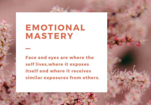 暖色调时尚温馨手机端APP宣传广告图PSD海报模板Blush Emot