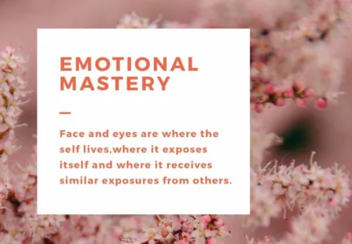 暖色调时尚温馨手机端APP宣传广告图PSD海报模板Blush Emot