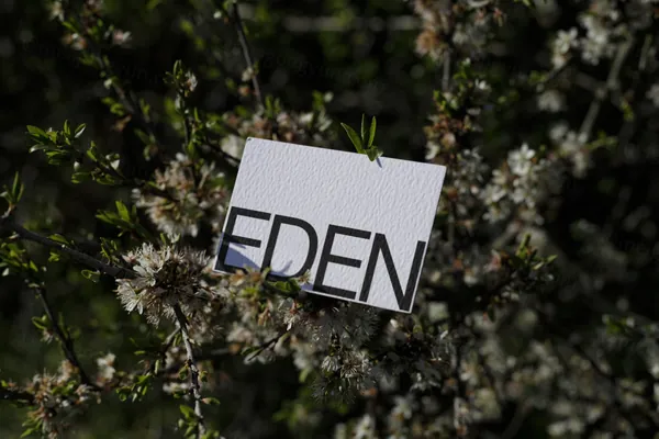 高端摄影实拍商务名片企业品牌设计提案贴图展示样机模板素材 Businesses Card Mockup-10