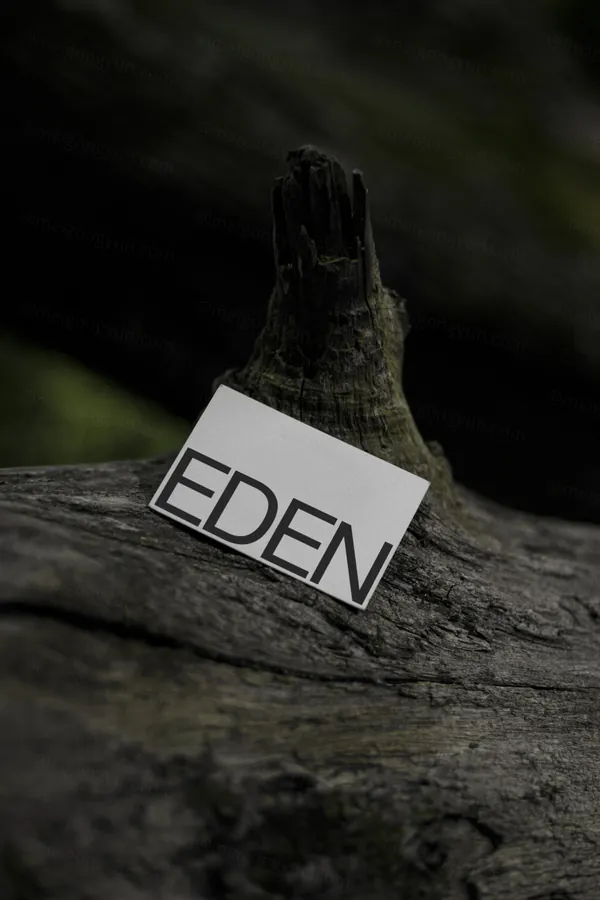 高端摄影实拍商务名片企业品牌设计提案贴图展示样机模板素材 Businesses Card Mockup-3