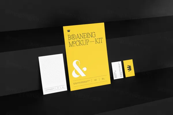 高端商务名片卡片品牌包装VI设计提案贴图展示样机模板 Branding Mockups-2