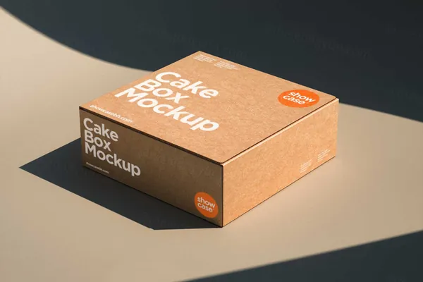 高端物流快递纸盒纸箱公司企业品牌VI设计提案样机模板 T09_Box Mockup