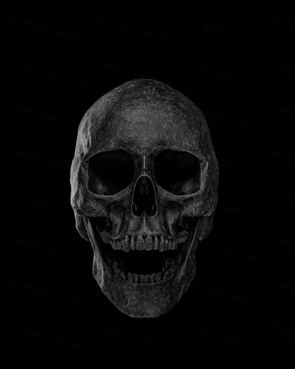 超高精度酷炫3D渲染骷髅头盖骨PNG免抠图 BILLELIS PNG SKULL PACK - BLACK
