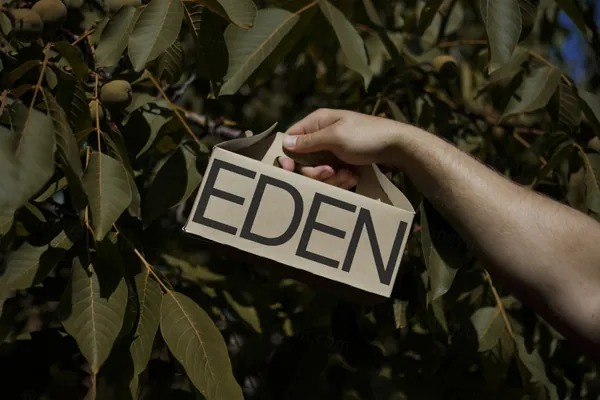 高质量环保小纸盒外卖品牌包装设计贴图展示样机模板素材 Eco Small Box Mockup-2