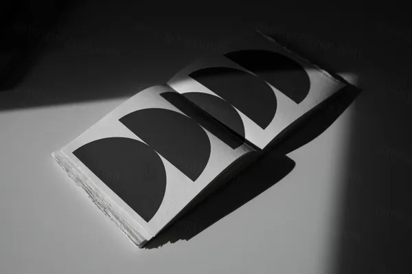 高端摄影实拍书籍排版设计提案贴图展示样机模板素材 Book Mockup-1