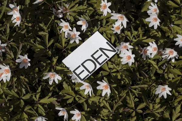 高端摄影实拍商务名片企业品牌设计提案贴图展示样机模板素材 Businesses Card Mockup-5