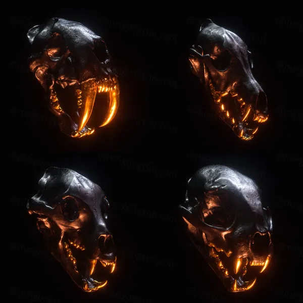 食肉动物恐龙头骨3D模型 BILLELIS 3D SKULL MODELS - PREDATORS PACK