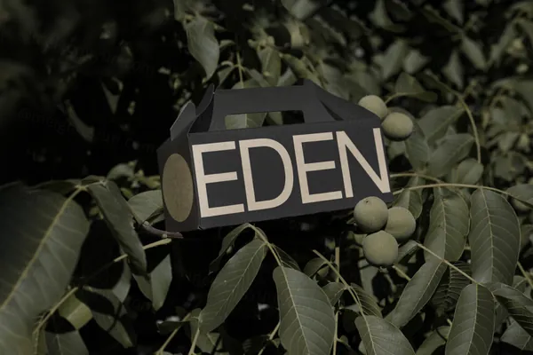 高质量环保小纸盒外卖品牌包装设计贴图展示样机模板素材 Eco Small Box Mockup-4