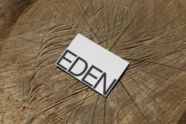 高端摄影实拍商务名片企业品牌设计提案贴图展示样机模板素材 Businesses Card Mockup-1