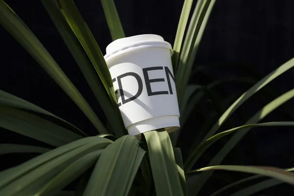 高质量咖啡杯纸杯外卖品牌包装设计贴图展示样机模板素材 Eco Cup Mockup