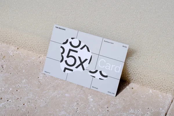 高质量实拍无CG企业品牌名片设计贴图展示样机模板 TM TE 001 5